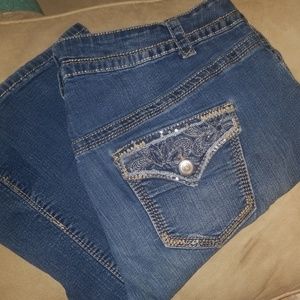 Lane Bryant Jeans